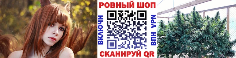 Где купить Светлоград Cocaine Мефедрон Гашиш Конопля