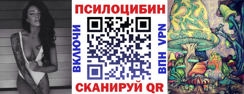 Галлюциногенные грибы GOLDEN TEACHER  цены наркотик  Светлоград 